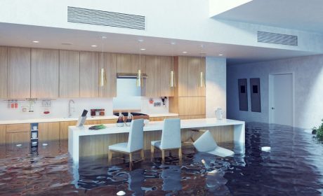 What Kind of Water Restoration Services Can You Hire?