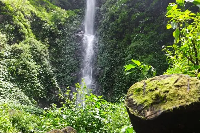 Coban Rais Waterfall Batu, Hidden Natural Tourism at the Foot of Mount Panderman