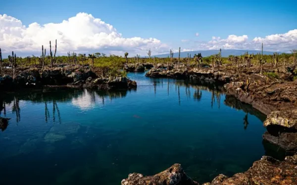 10 Amazing Islands in Ecuador That Offer a Rich Biodiversity