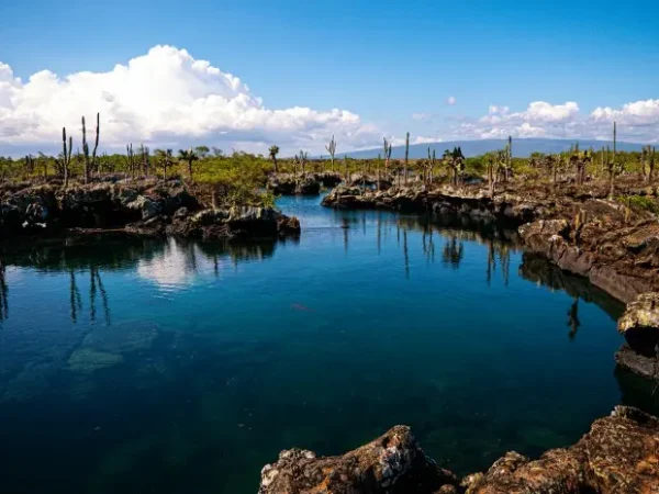 10 Amazing Islands in Ecuador That Offer a Rich Biodiversity